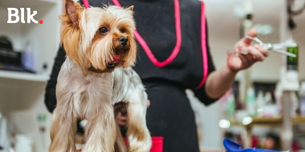 Uniforme Para Pet Shop: Fortaleça Sua Marca!